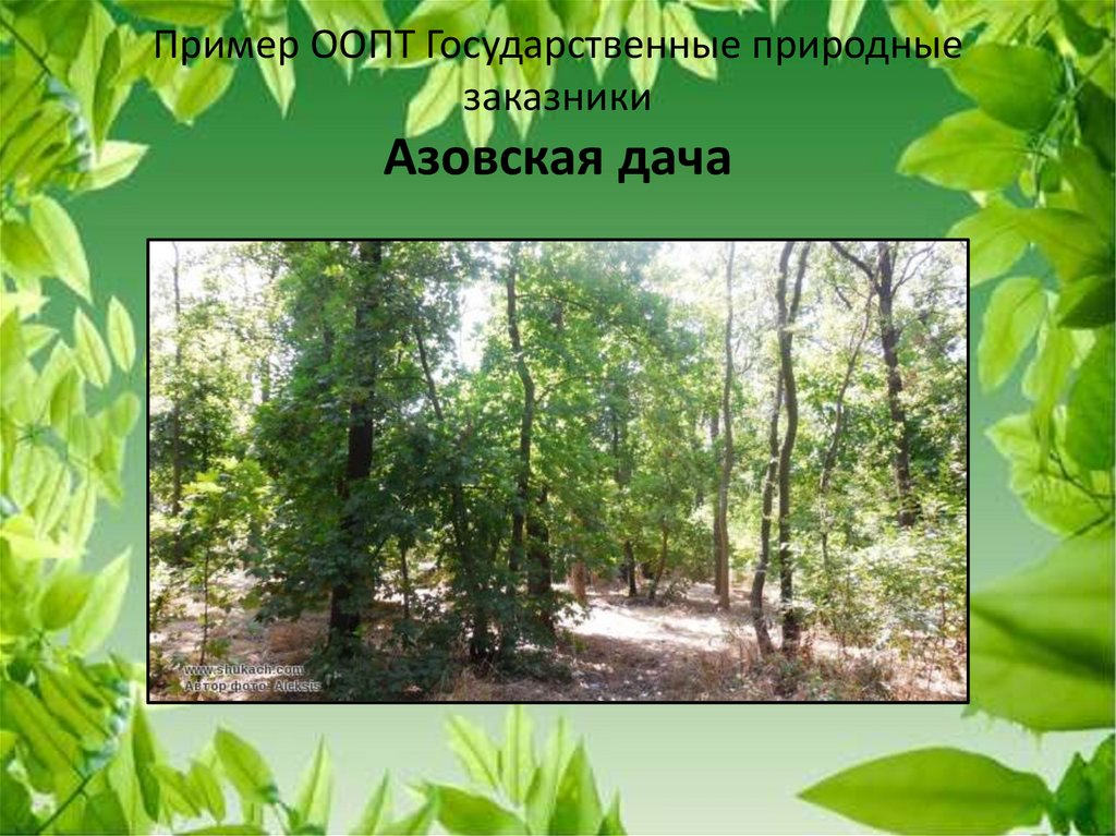 Пример ООПТ Государственные природные заказники Азовская дача