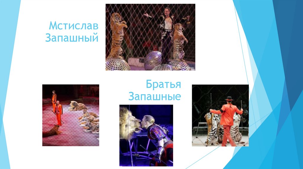 Братья Запашные