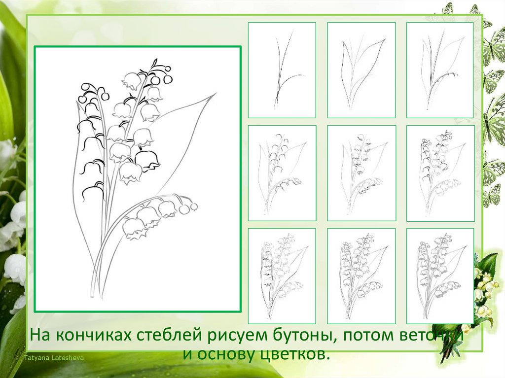 Ландыши нарисовать ребенку