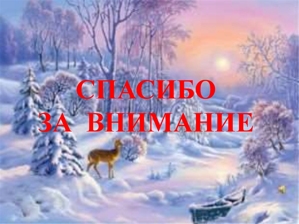 СПАСИБО ЗА ВНИМАНИЕ