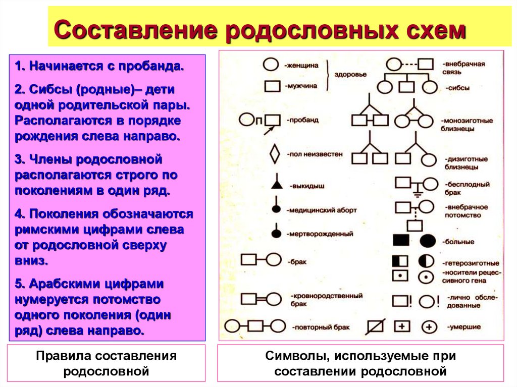 В медицинской генетике широко используется генеалогический метод используя предложенную схему