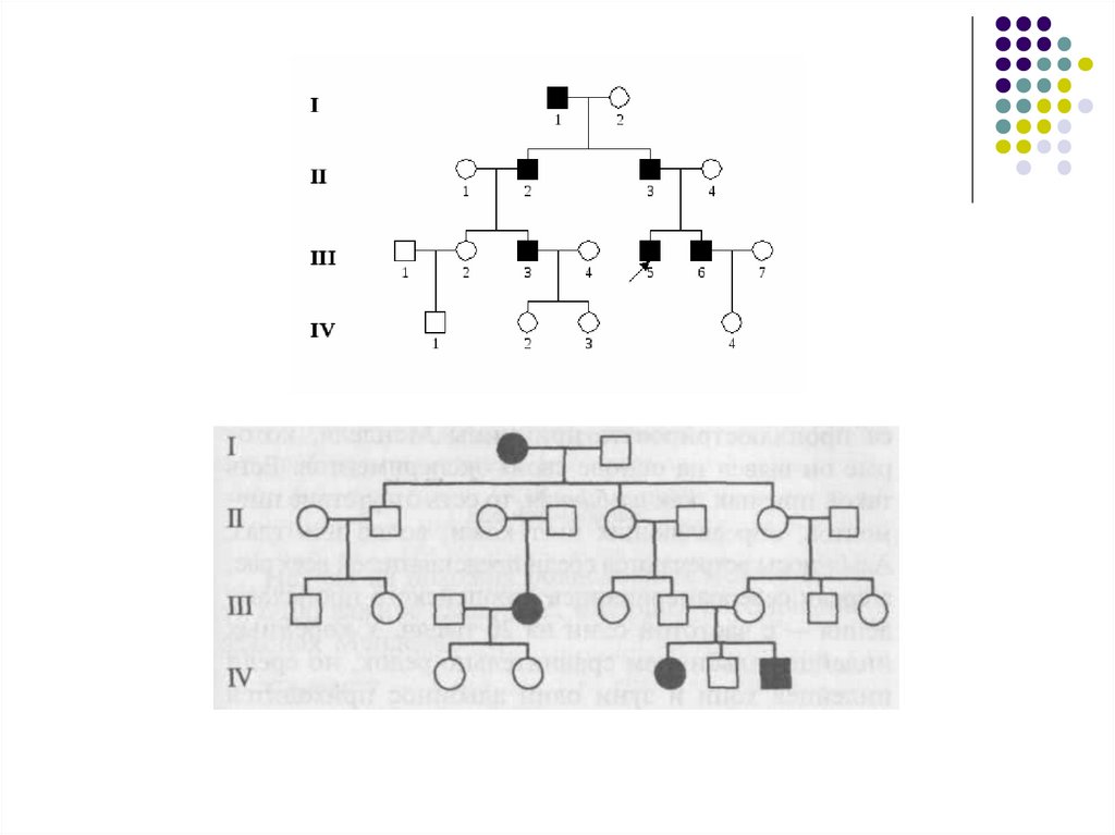 Генетическая схема. Генеалогическая карточка.