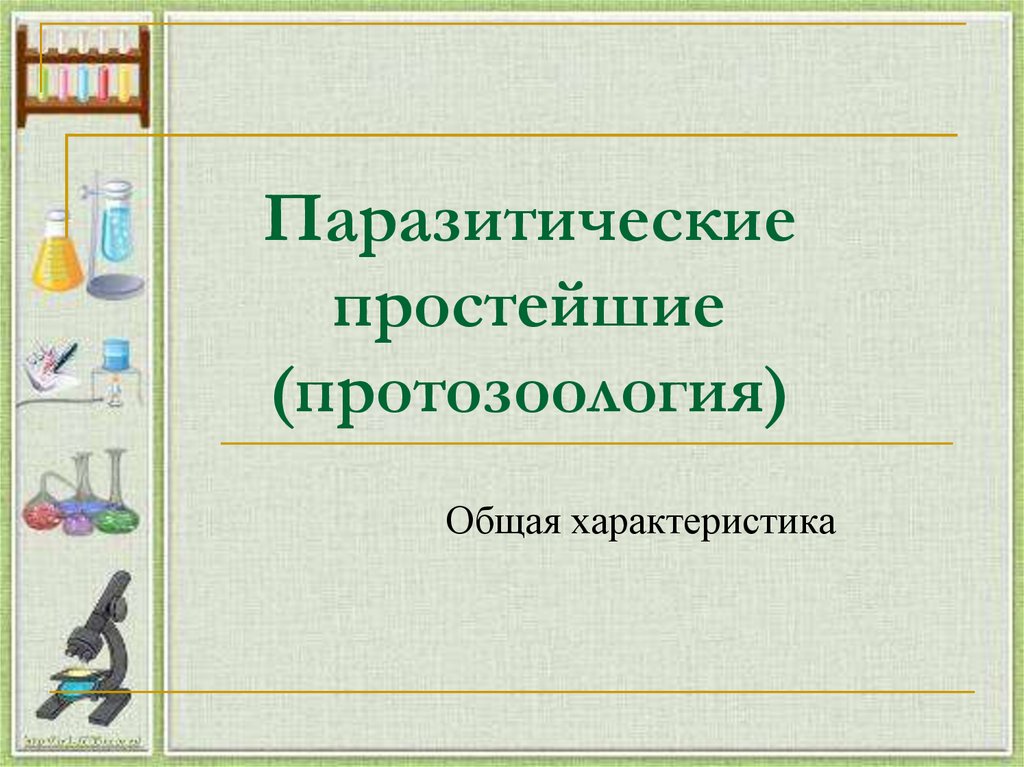 Медицинская протозоология презентация