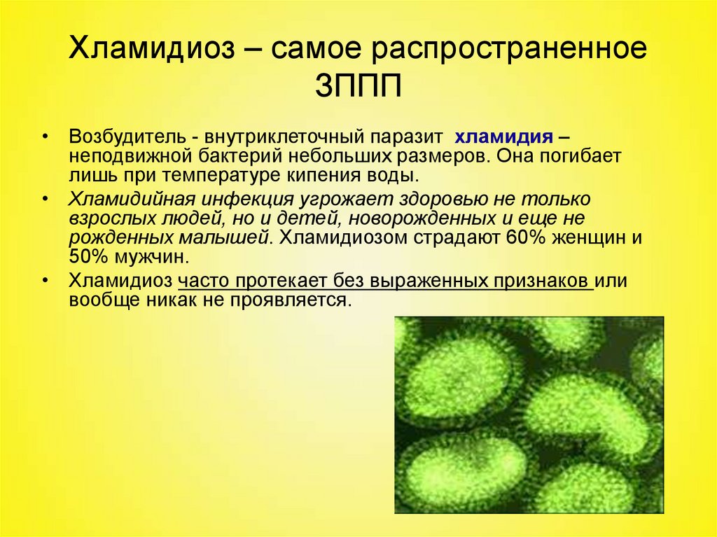 Хламидиоз причины лечение. Хламидии микробиология заболевания. Хламидии форма бактерии. Возбудитель хламидии микробиология. Возбудитель респираторного хламидиоза.