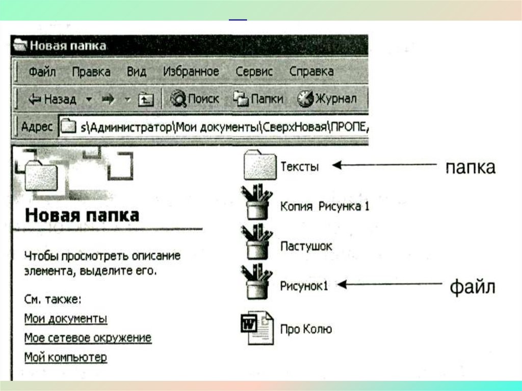 Папка текст. Электронный документ и файл 3 класс. Файл ва папка. Электронный документ и файл 3 класс сообщение. Слайд директории это.