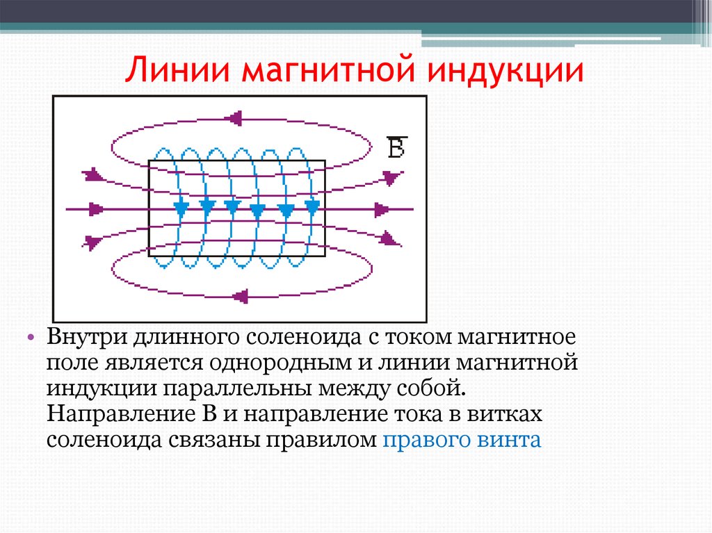 На рисунке указаны магнитные линии