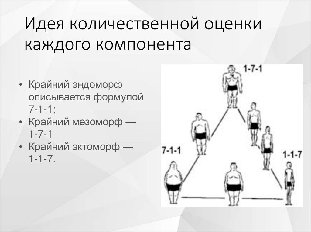 Конституциональные схемы шелдона