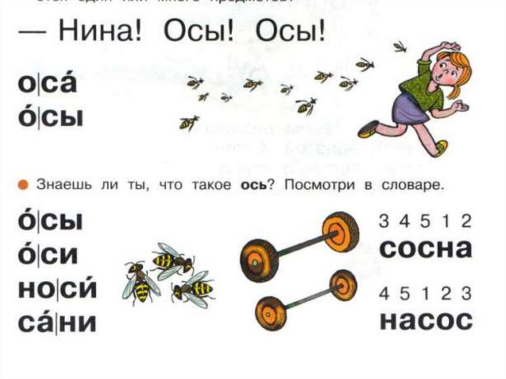 Есть слово ос. Оси - осы Азбука. Схема слова осы. Что такое ось 1 класс Азбука.