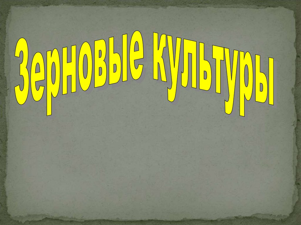 История появления зерновых культур презентация