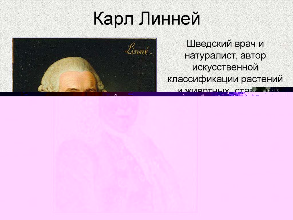 Создавший вид. Шведский натуралист к.Линней. Система природы 1735 Линней. Карл Линней система. Карл Линней вклад.