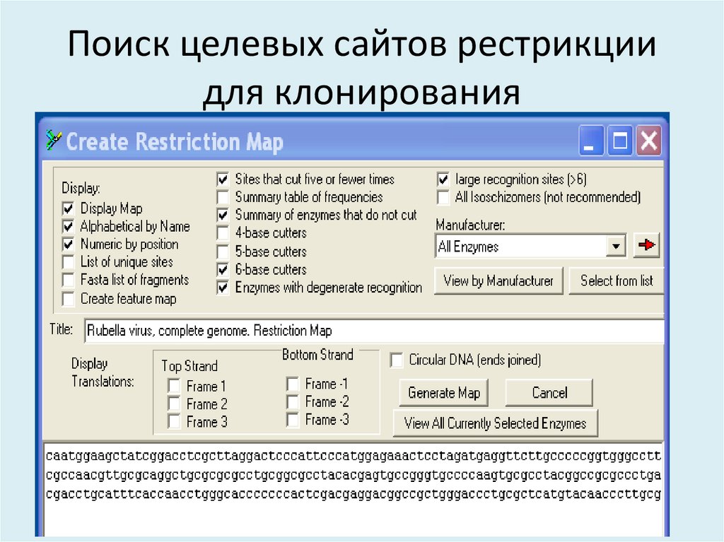 Поиск целевых сайтов рестрикции для клонирования