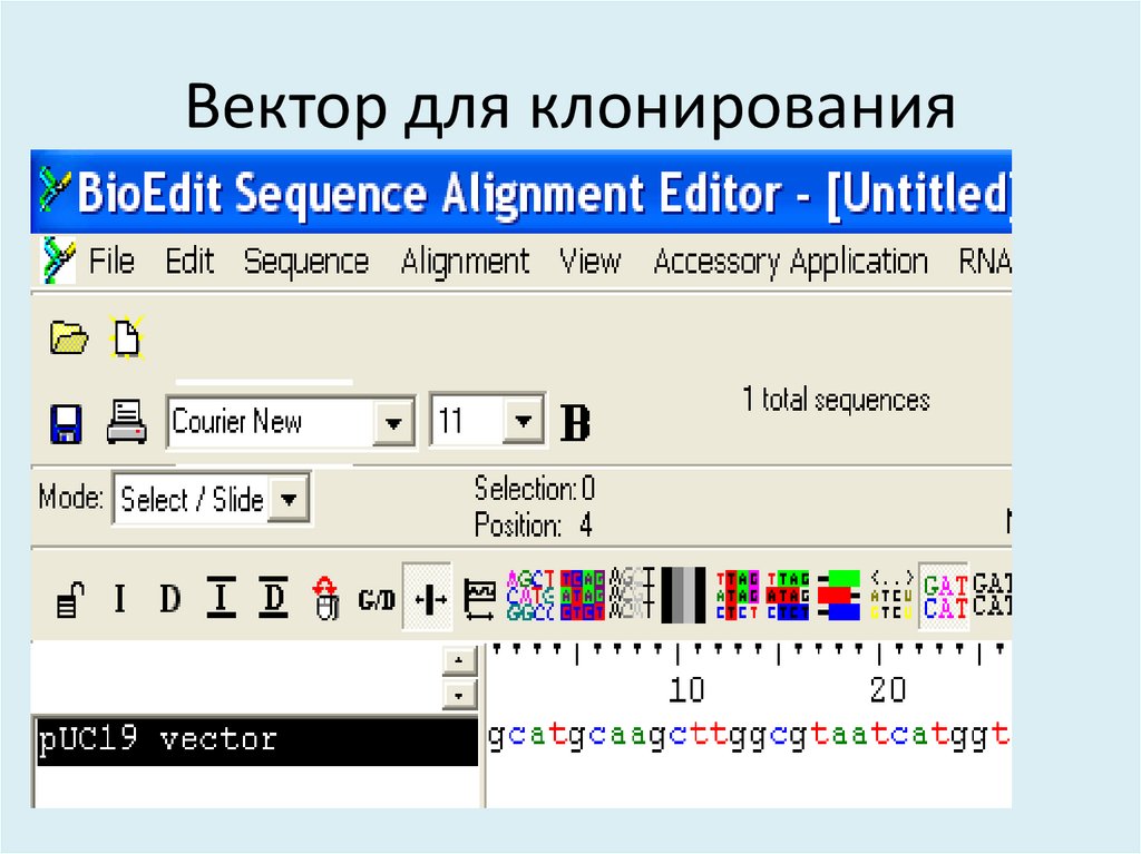 Вектор для клонирования
