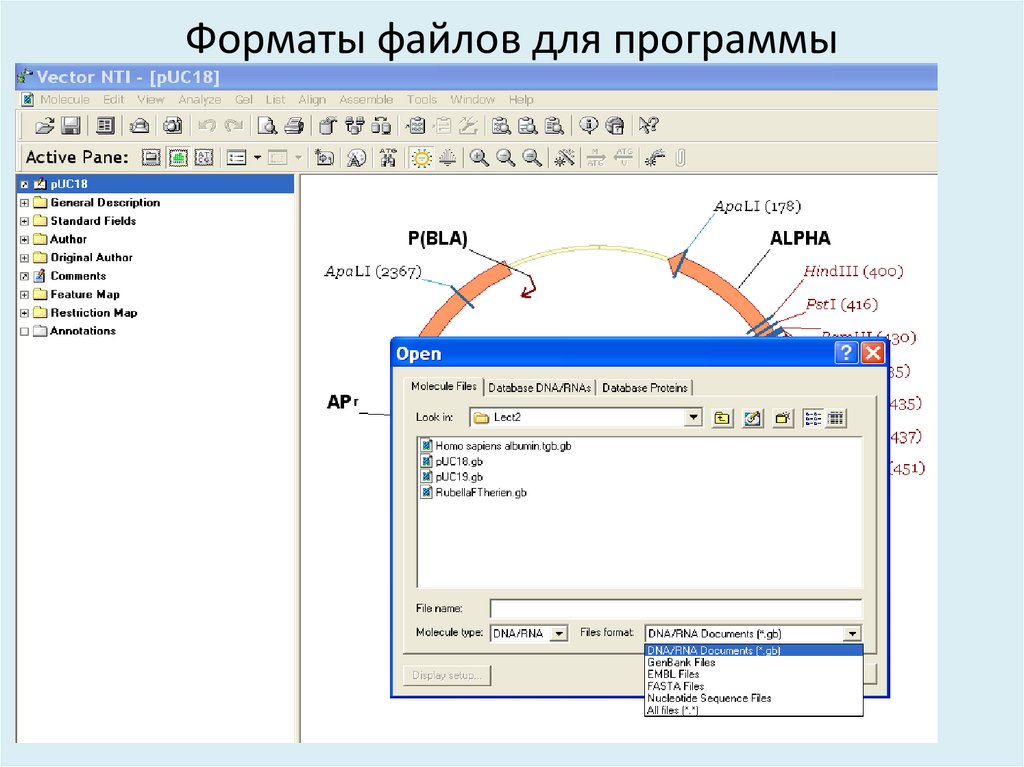 Форматы файлов для программы