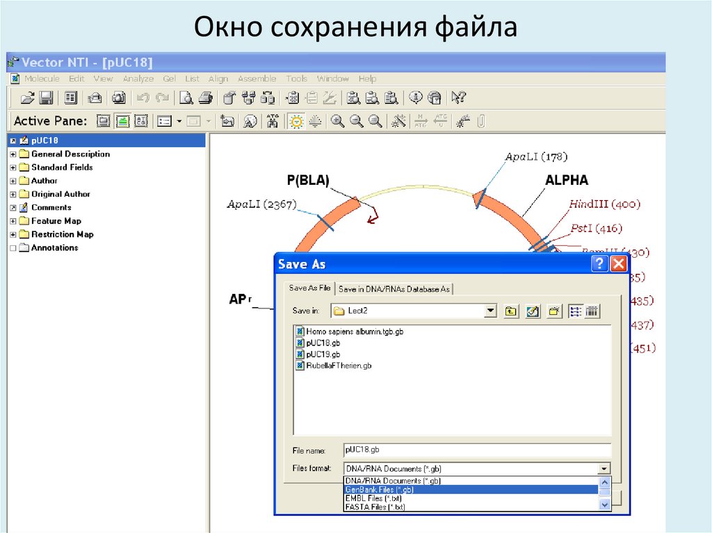 Окно сохранения файла