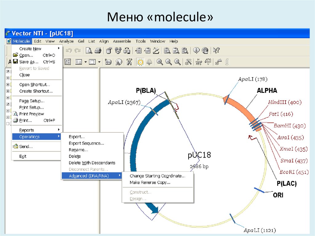Меню «molecule»