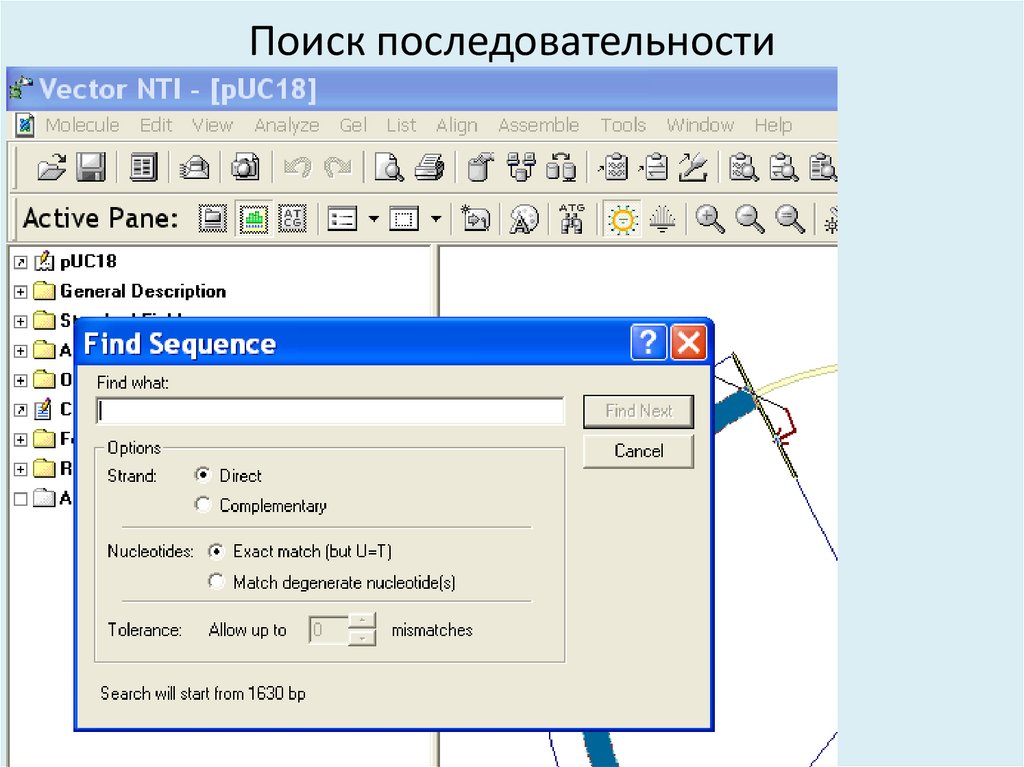 Поиск последовательности