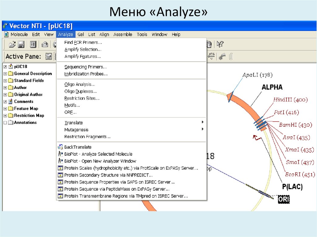 Меню «Analyze»