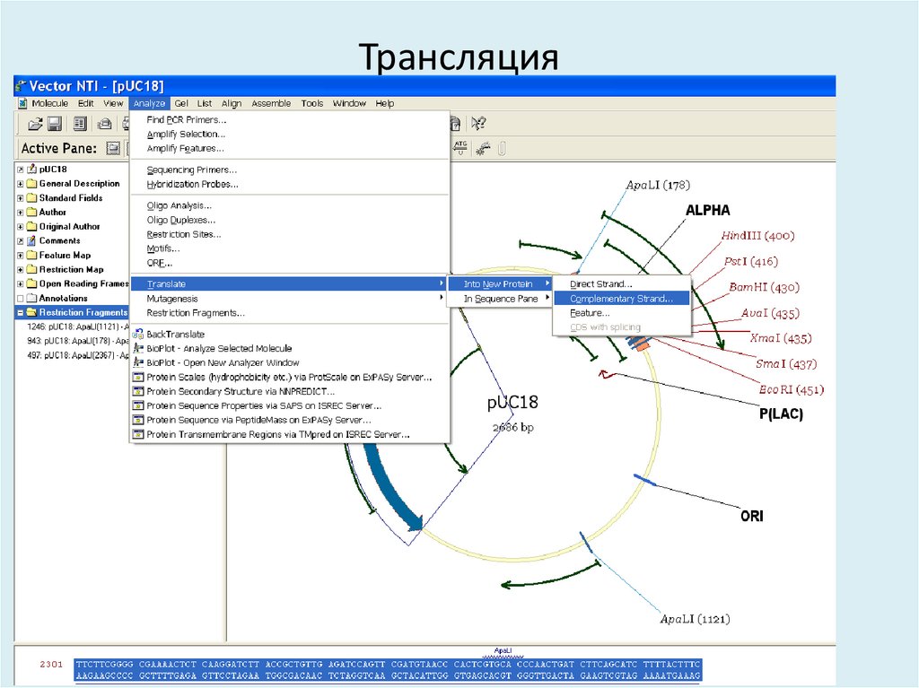Трансляция