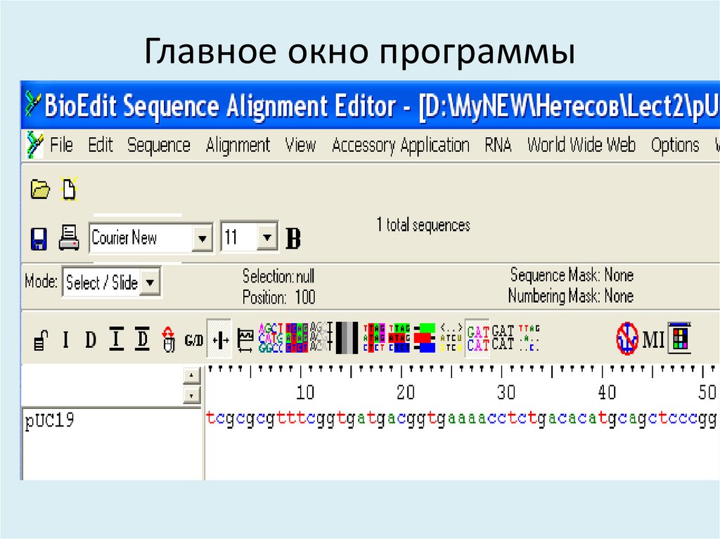 Главное окно программы