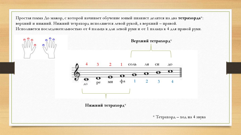 Что такое шкала в мелодическом рисунке синтагмы - 95 фото