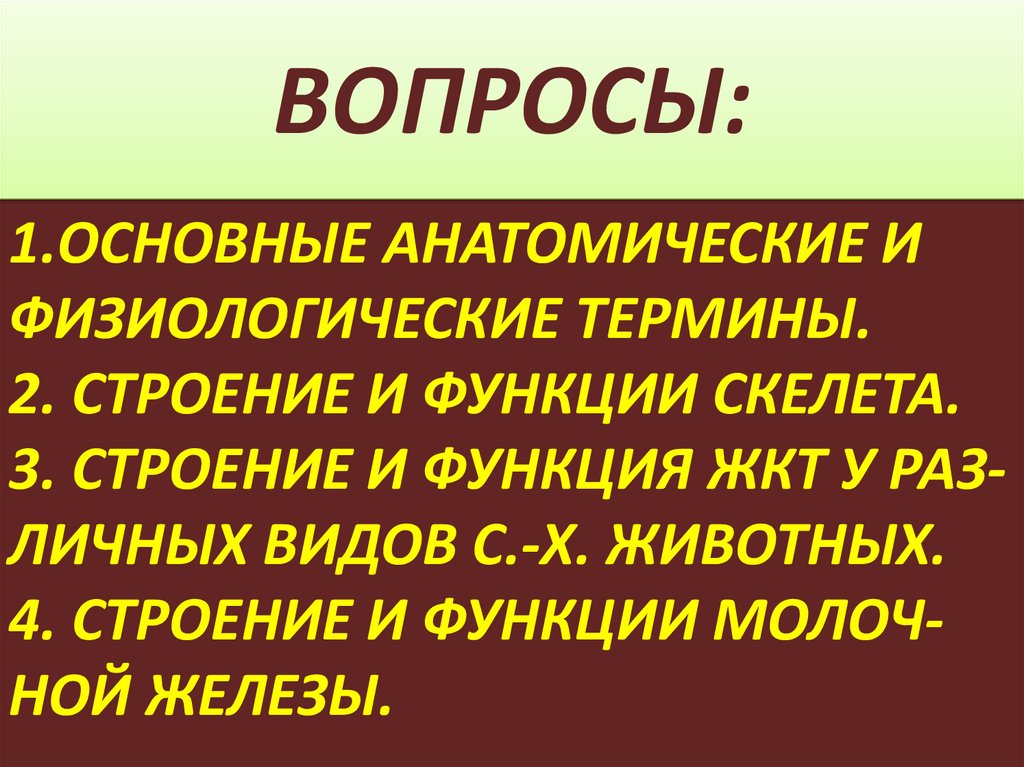 Основы анатомии. Ноцицептивная система физиология.