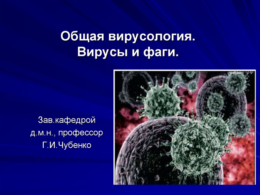 Общая вирусология. Вирусы и фаги.