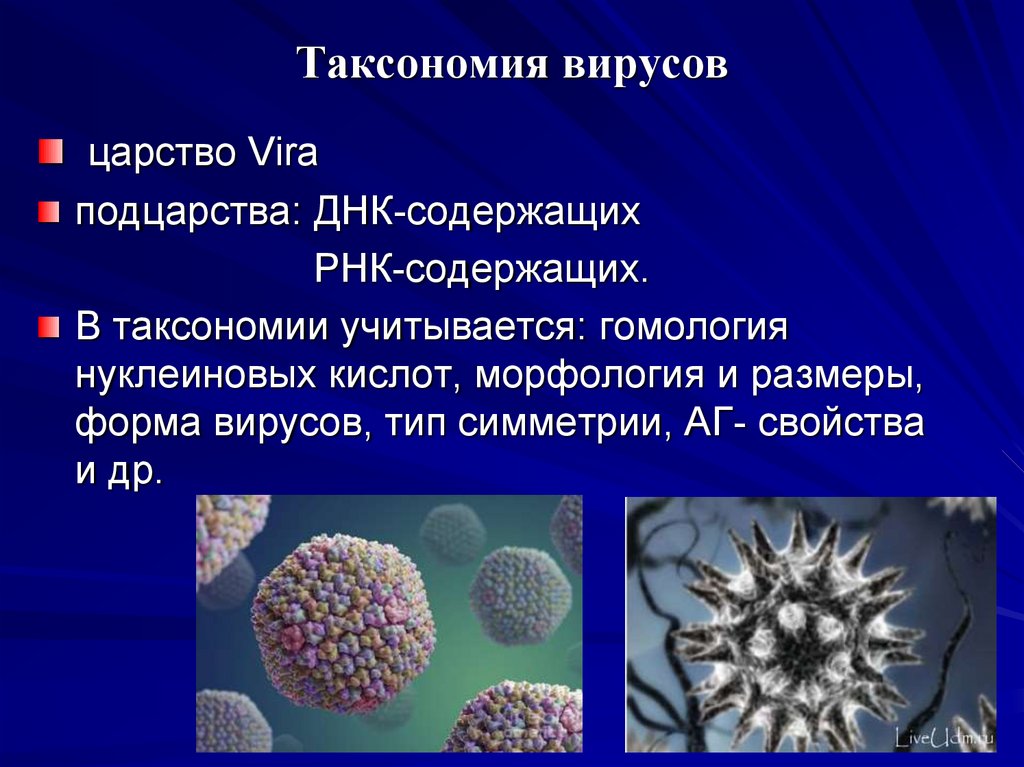 Таксономия вирусов