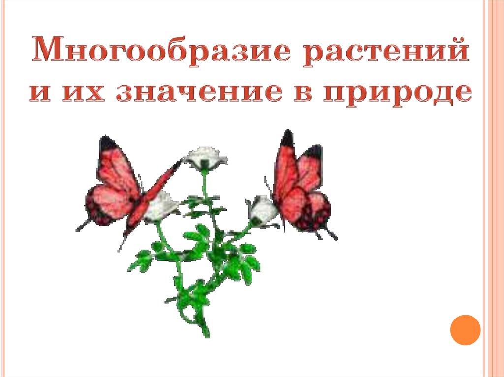 Презентация многообразие растений и их значение в природе 9 класс