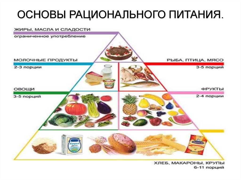 Принципы рационального питания