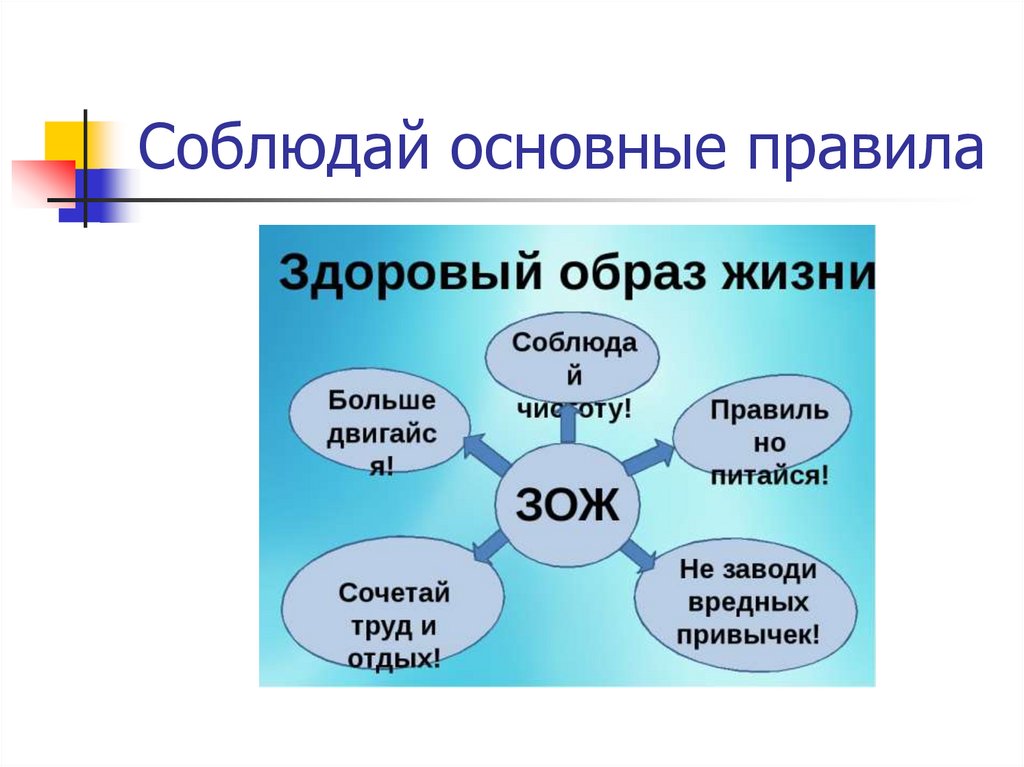 Соблюдай основные правила