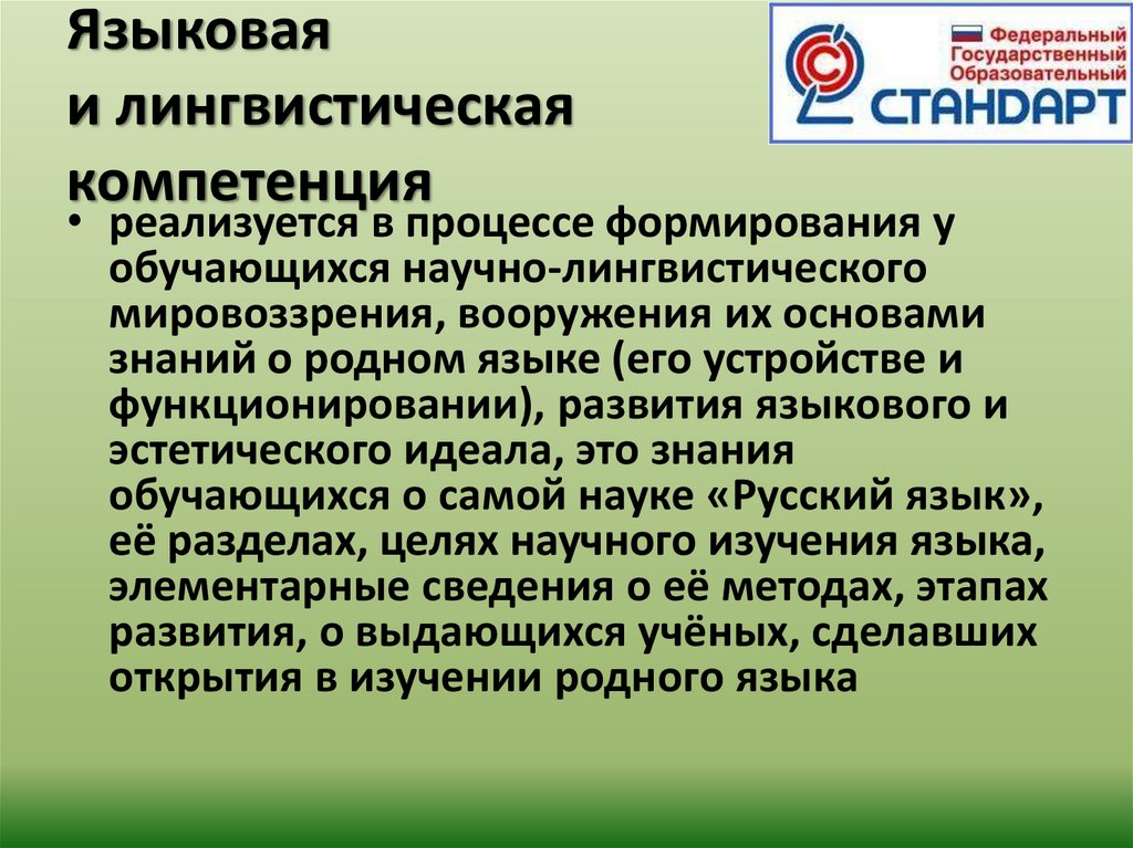 Языковая компетентность это. Лингвистическая компетенция что такое определение. Языковая компетенция это. Языковая компетенция картинки.