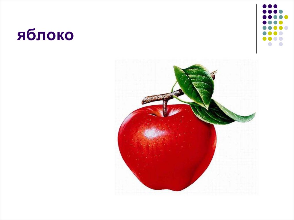 яблоко