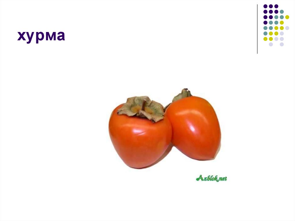 хурма