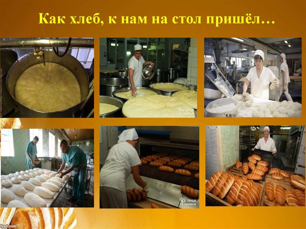 Этапы приготовления хлеба. Хлеб для презентации. Этапы выпечки хлеба. Производства хлеба и хлебобулочных изделий презентация. Иллюстрация производства хлеба.