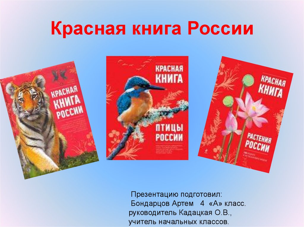 Проект красная книга класс. Красная книга России. Проект красная книга России. Проект края книга России. Красная книга Росси проект.