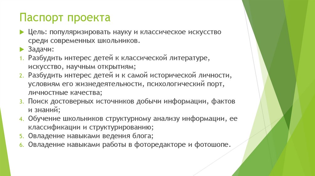 Паспорт проекта