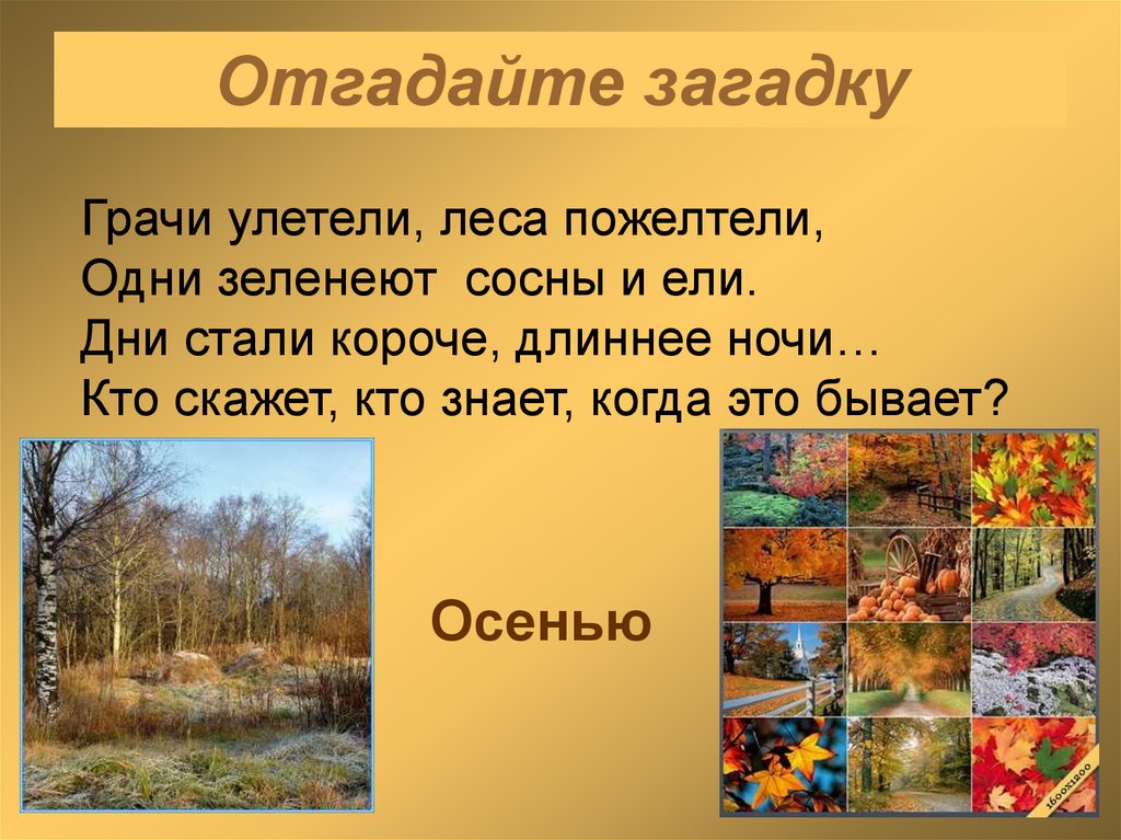 Отгадайте загадку