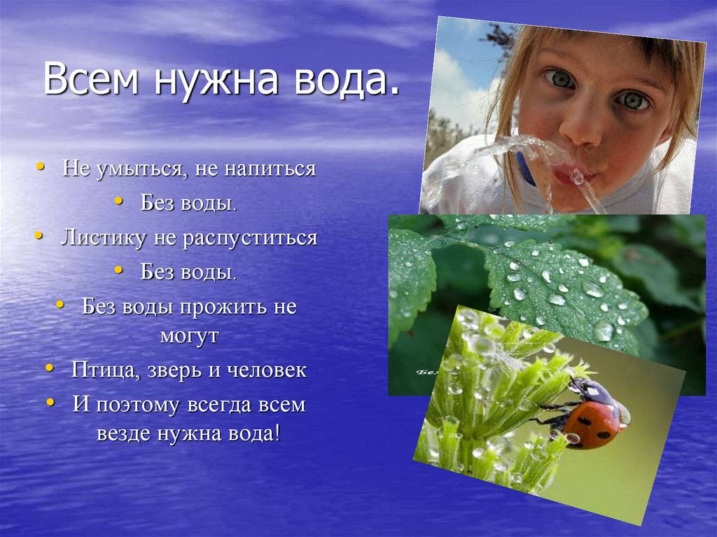 Проект всем нужна вода