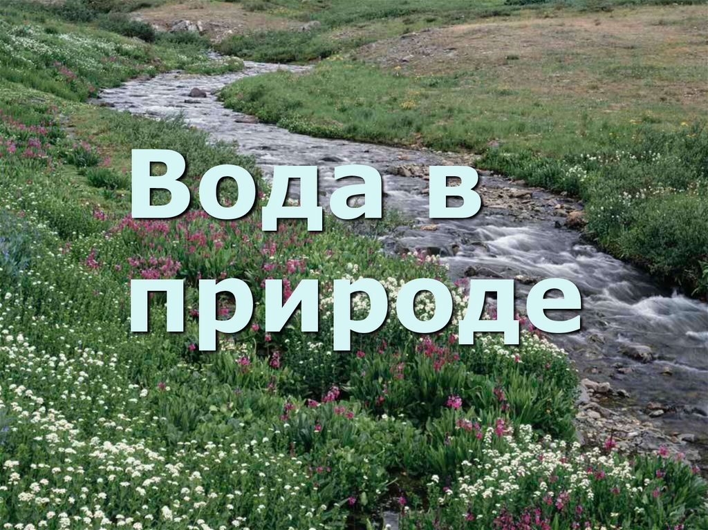 Вода в природе