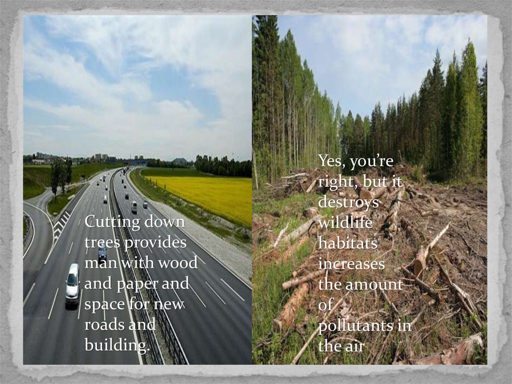 Trees текст перевод. Environmental Issues презентация. Environmental Issues перевод. Find New Roads перевод.