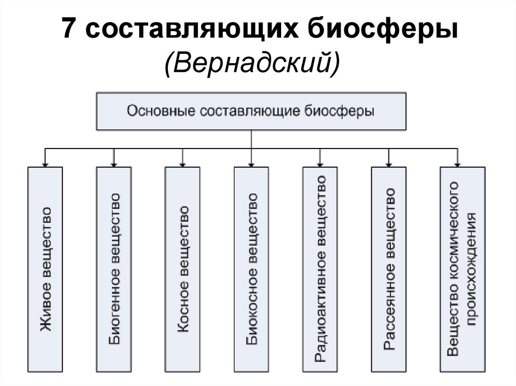 Биосфера глобальная экосистема презентация