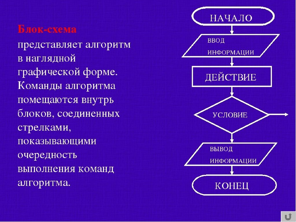 Алгоритмы информатика доклад