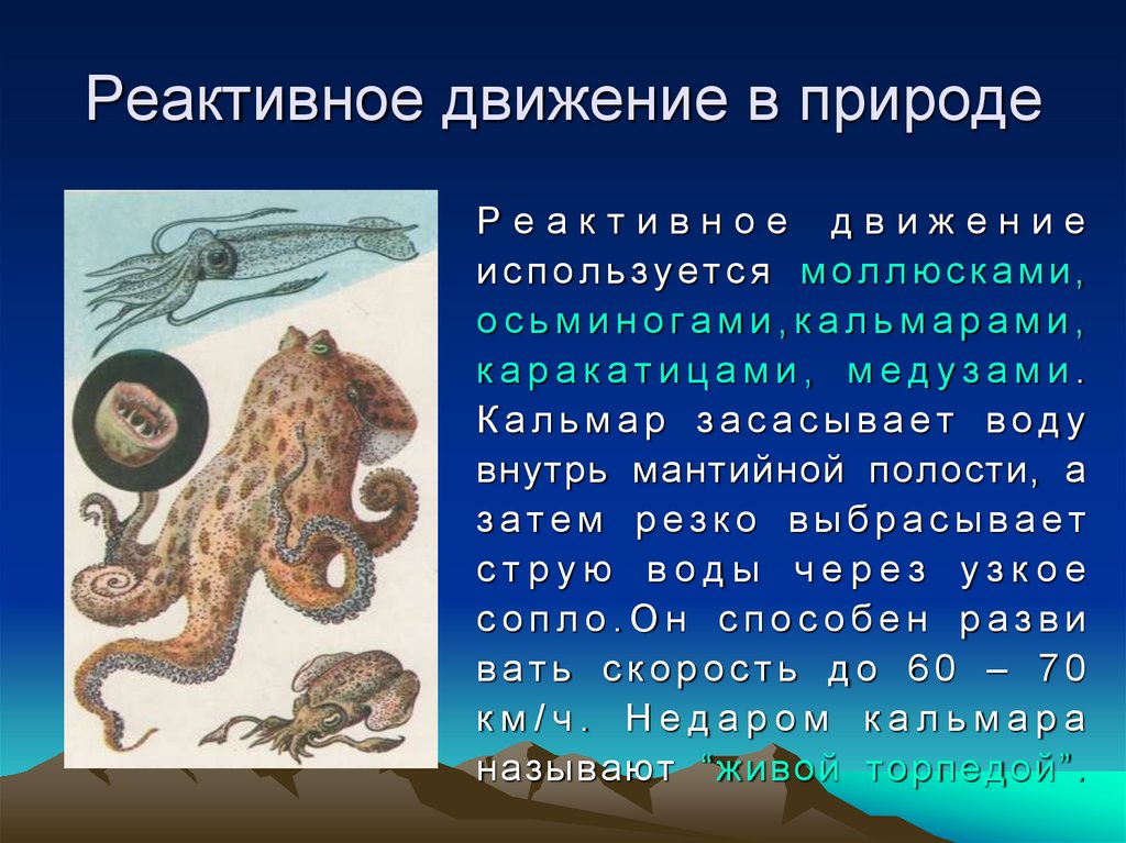 Реактивное движение в природе сообщение. Реактивное движение в природе. Реактивное движение в природе презентация. Реактивное движение ученые.