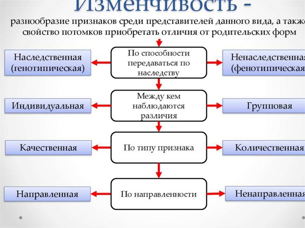 Виды изменчивости