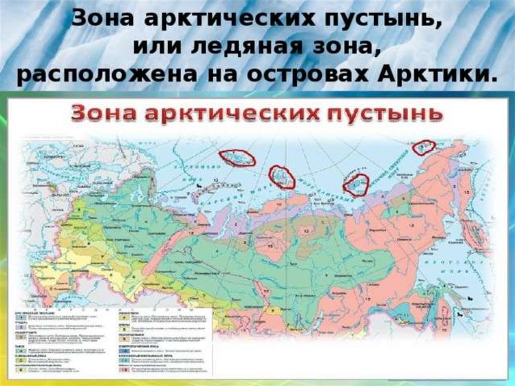 Зона арктических пустынь расположена на каких островах. Зона арктической пустыни на карте России. Зона арктических пустынь на карте. Зона арктических пустынь на карте 4 класс. Где находится арктические пустыни на карте России.