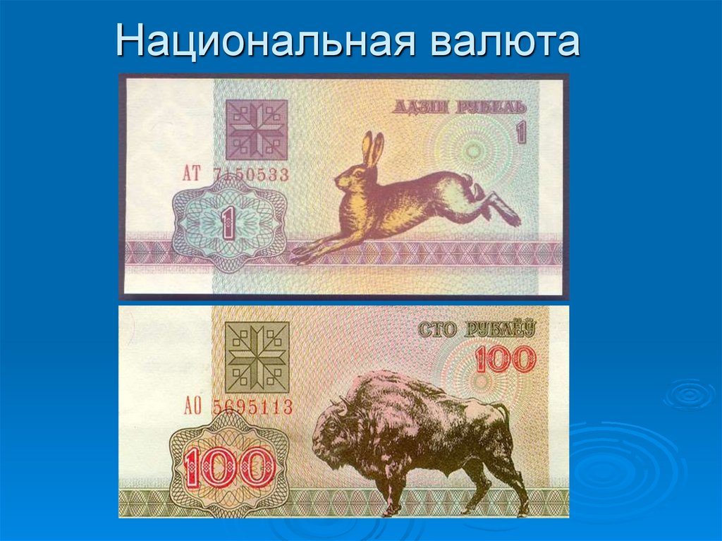 Национальная валюта беларуси. Денежная единица Беларуси. Сообщение о белорусской валюте. Белорусская денежная единица.