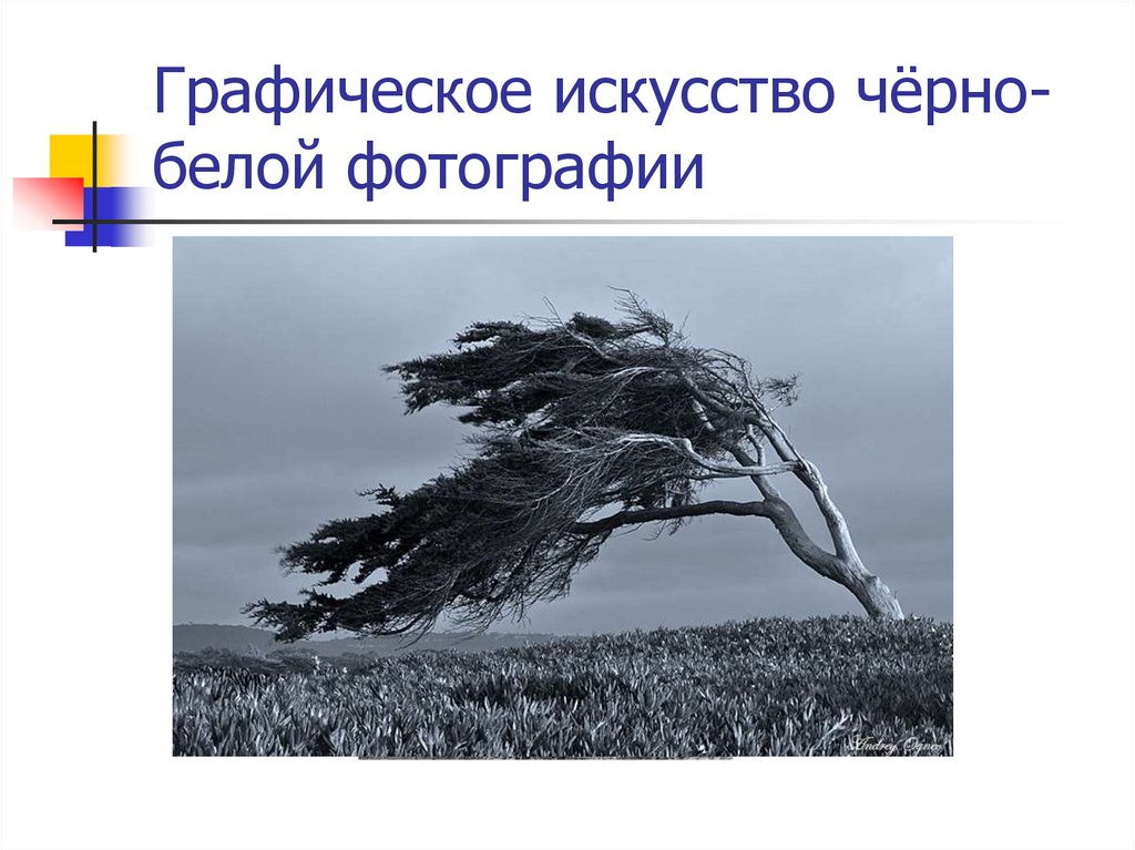 Графическое искусство чёрно-белой фотографии