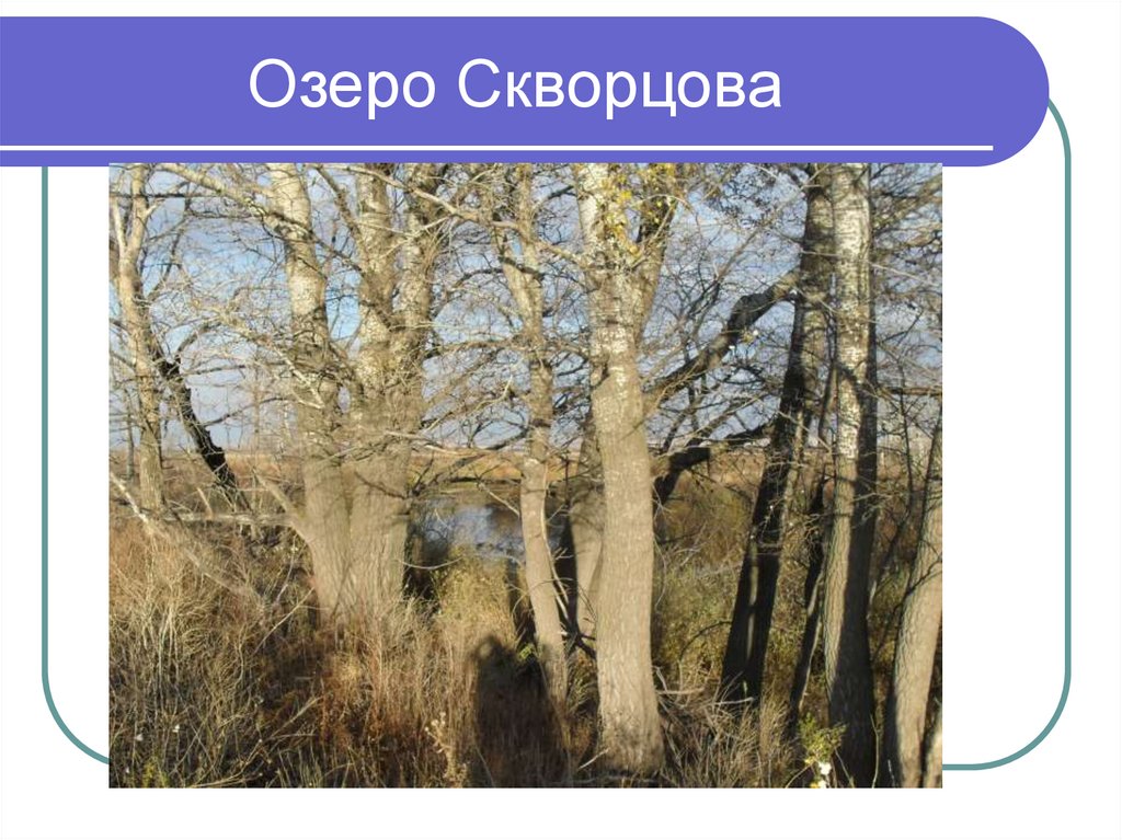 Озеро Скворцова