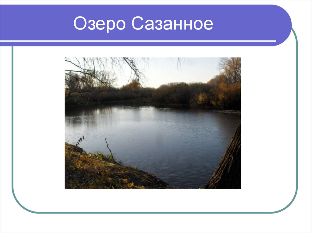Озеро Сазанное