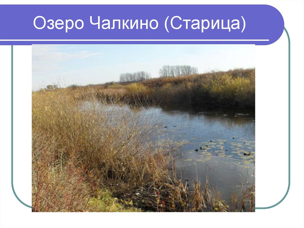 Озеро Чалкино (Старица)
